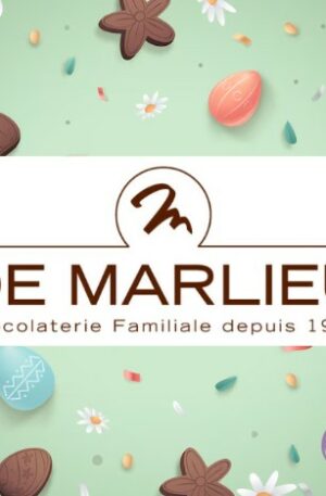 C65 - Pépites de Chocolat Noir (boîte métal)